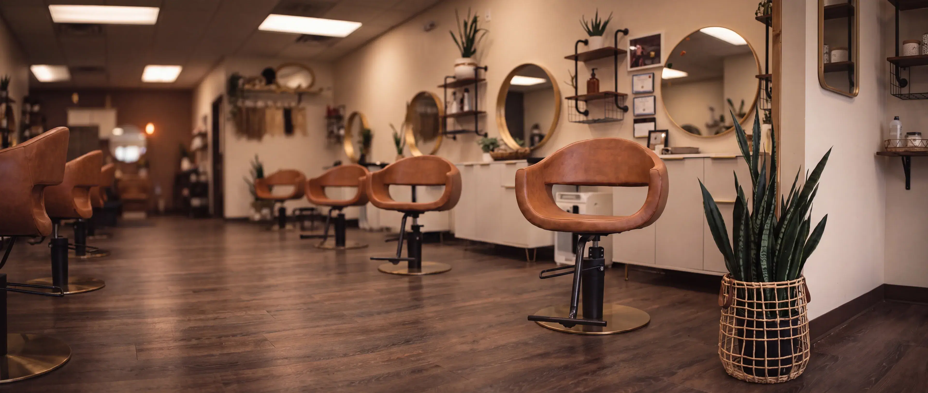 Cognac salon chairs in a row at Always Chic, with brass mirrors and a snake plant